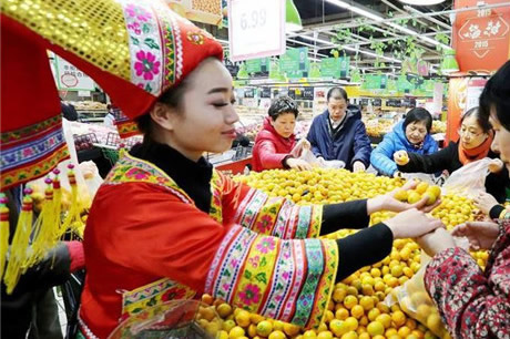 广西融安金桔农超对接助农增收